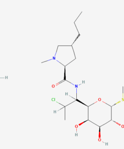 CLINDAMYCIN HYDROCHLORID
