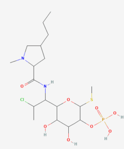 CLINDAMYCIN PHOSPHATE