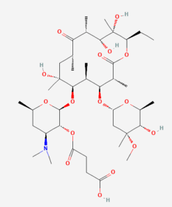ERYTHROMYCIN SUCCINATE