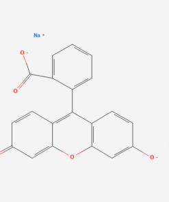 FLUORESCEIN SODIUM