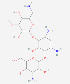 KANAMYCIN SULFATE