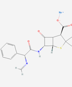 METAMPICILLIN SODIUM