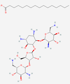NEOMYCIN PALMITATE