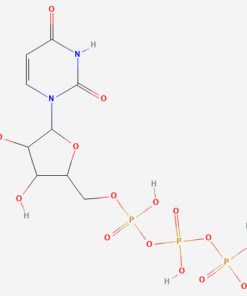 URIDINE 5 TRIPHOSPHATE TRISODIUM SALT