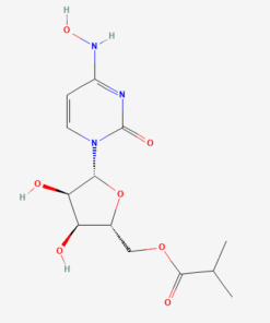 Molnupiravir