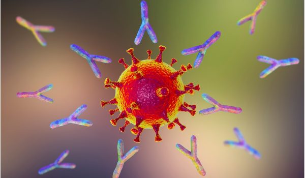 image Monoclonal Antibodies