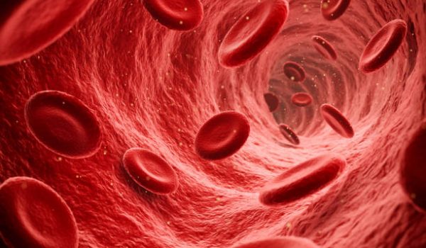 Endoscopic view of flowing red blood cells in a vein Ruxolitinib phosphate