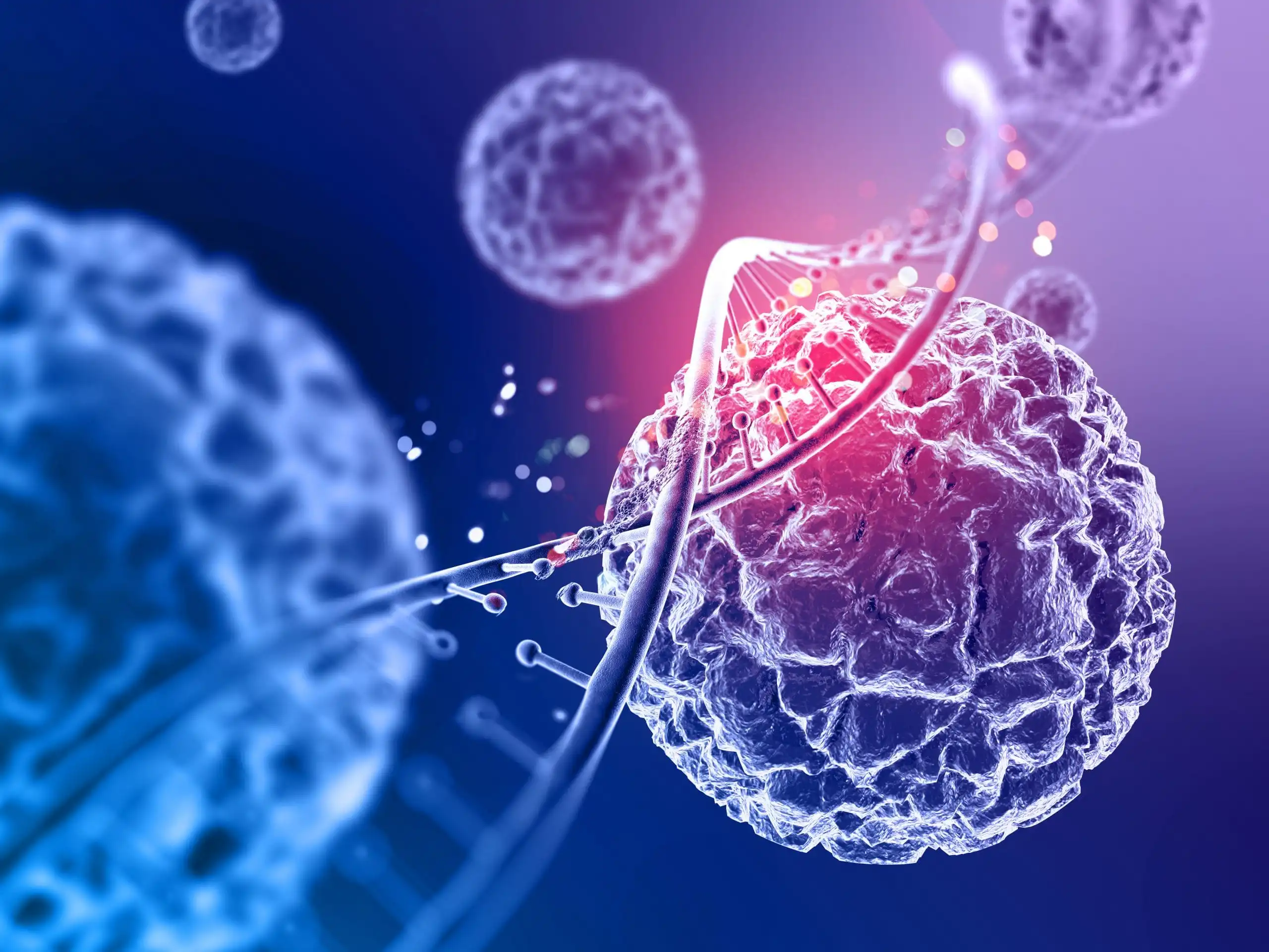 Monkey Pox Facts, Risk Factors, Vaccines, and Treatments