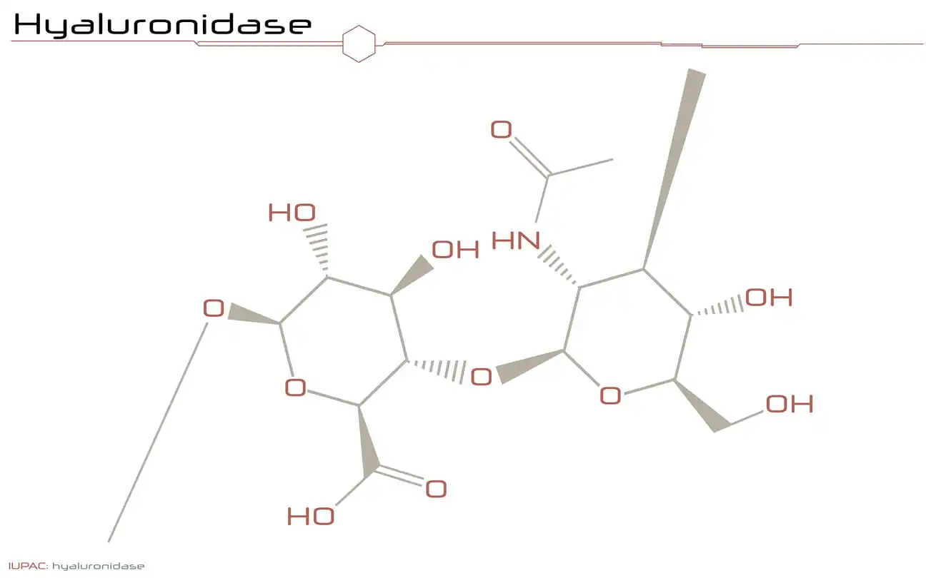 Hyaluronidase